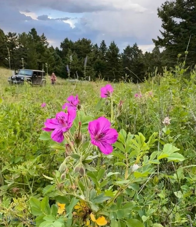 Yellowstone Basin Properties - Land