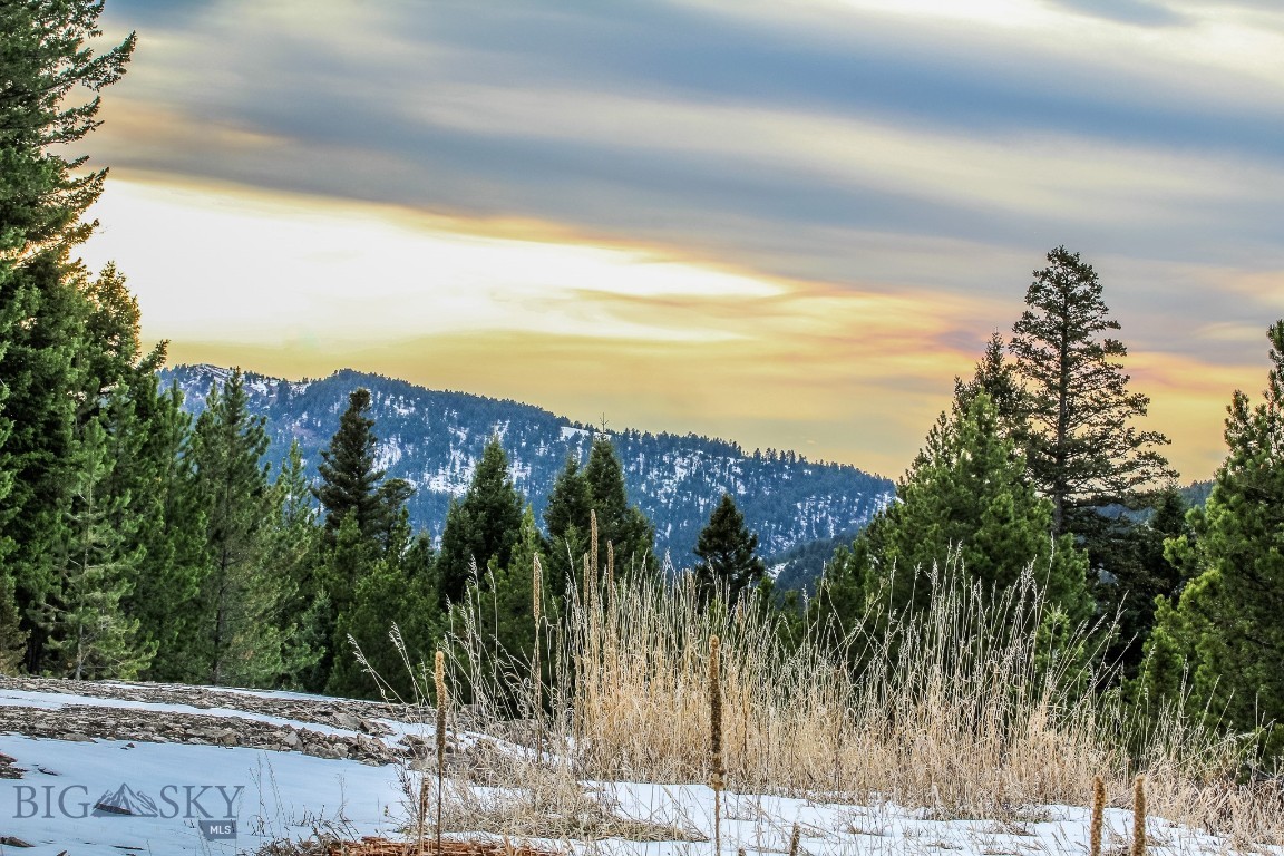 Certificate Of Survey COS - Land