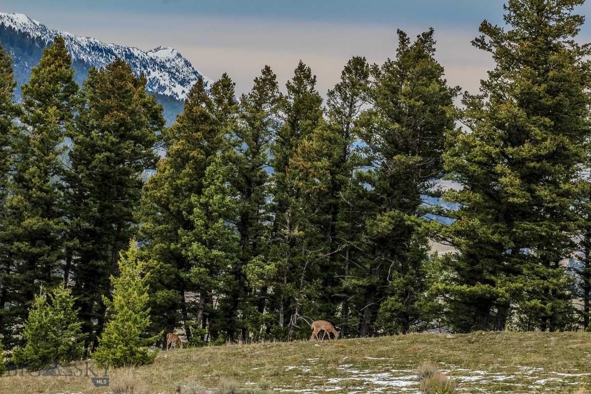 Certificate Of Survey COS - Land