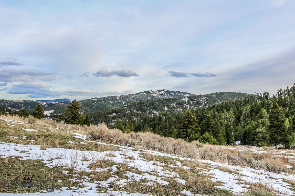 Certificate Of Survey COS - Land