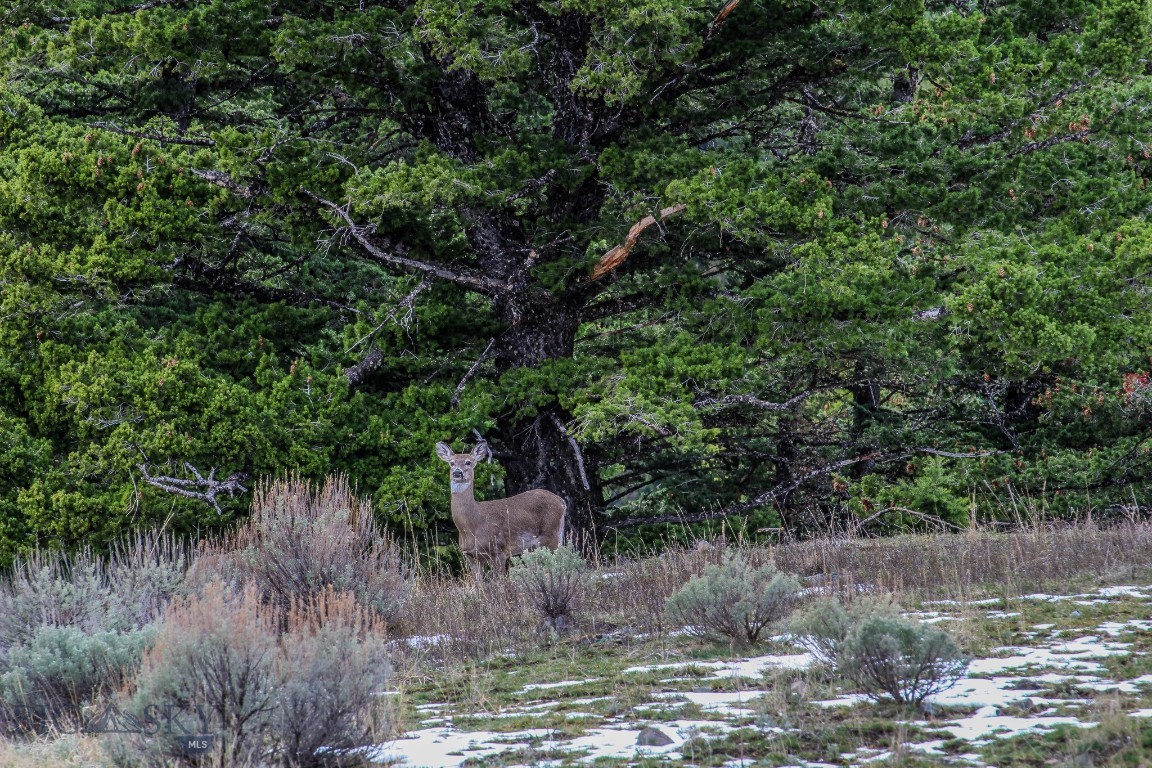 Certificate Of Survey COS - Land