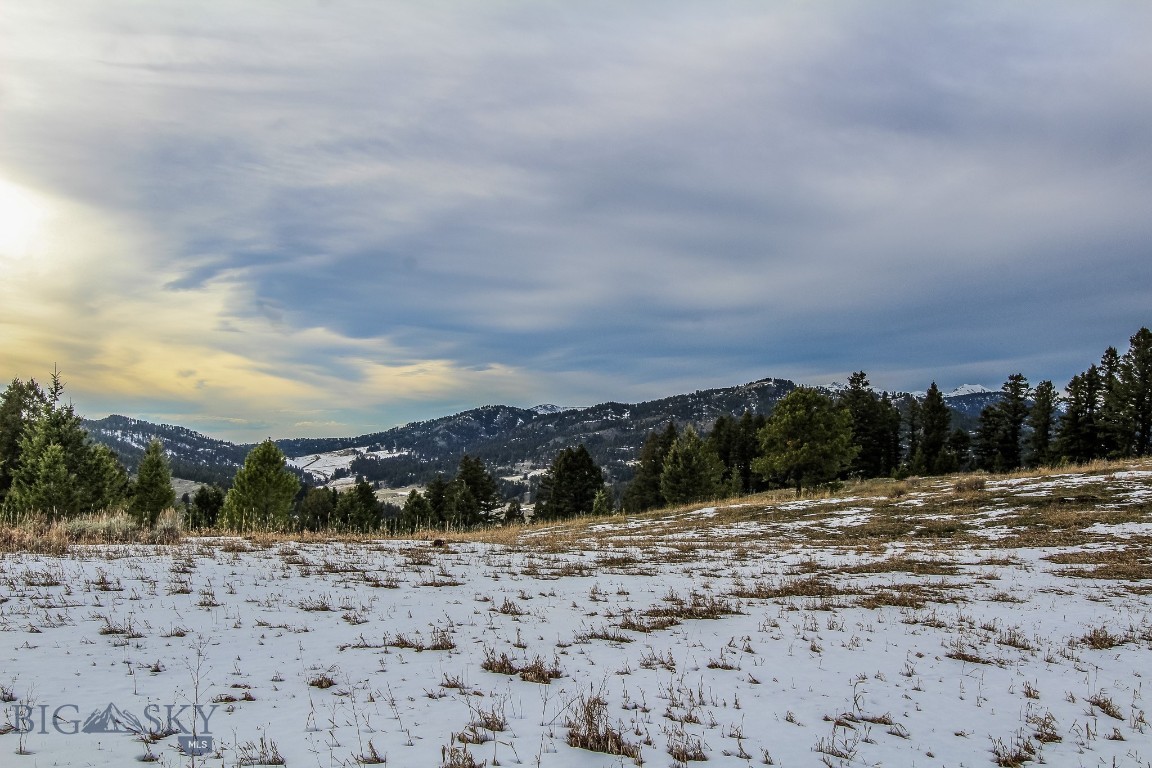 Certificate Of Survey COS - Land