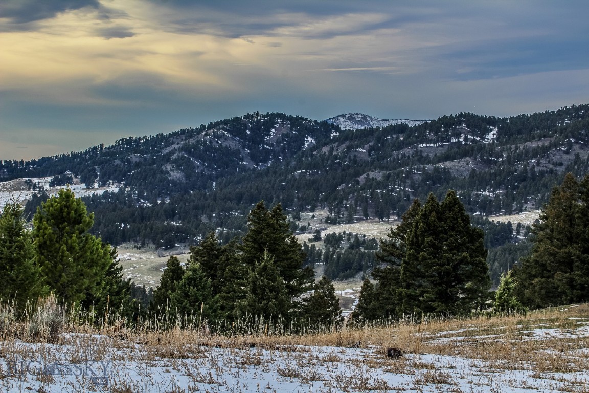 Certificate Of Survey COS - Land