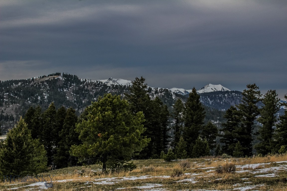 Certificate Of Survey COS - Land