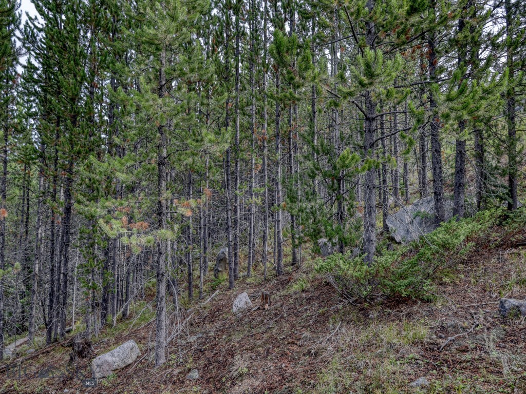 Summit View - Land