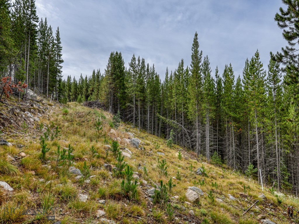 Summit View - Land
