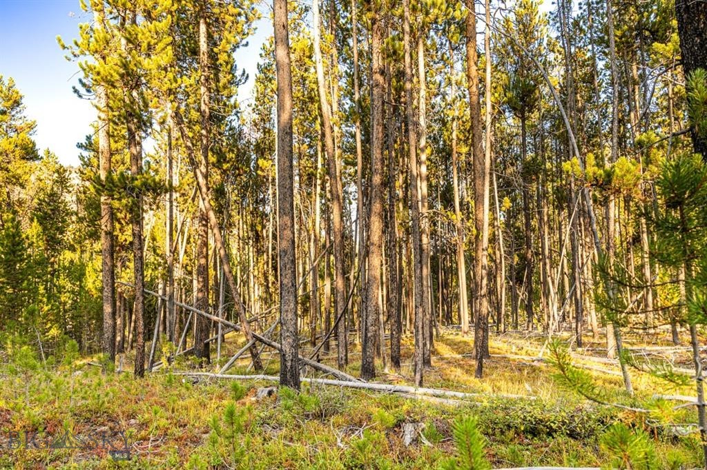 Minor Subdivision - Land