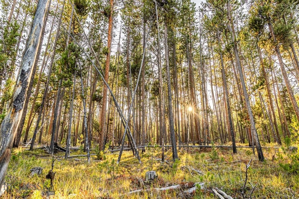 Minor Subdivision - Land