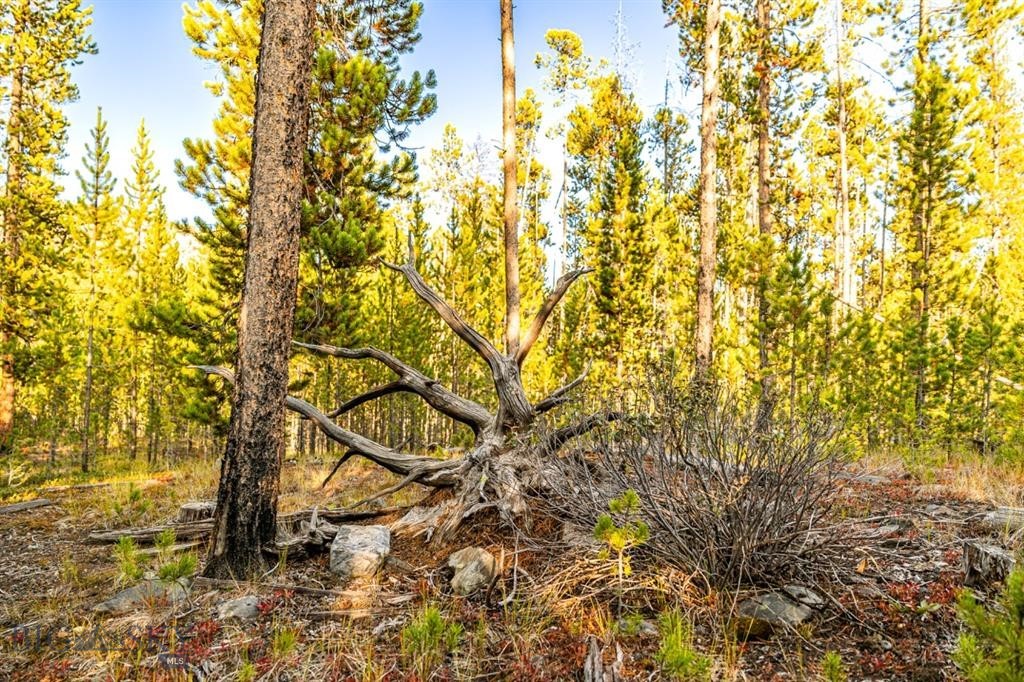 Minor Subdivision - Land