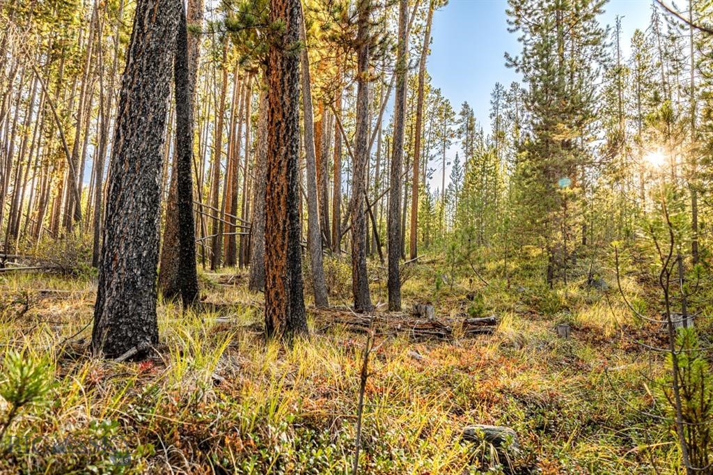 Minor Subdivision - Land