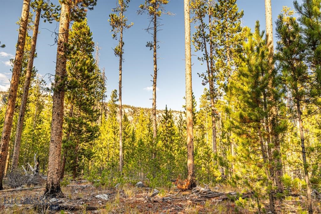 Minor Subdivision - Land