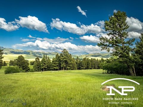 Ranch 12 North Pass Ranches Bozeman MT 59715