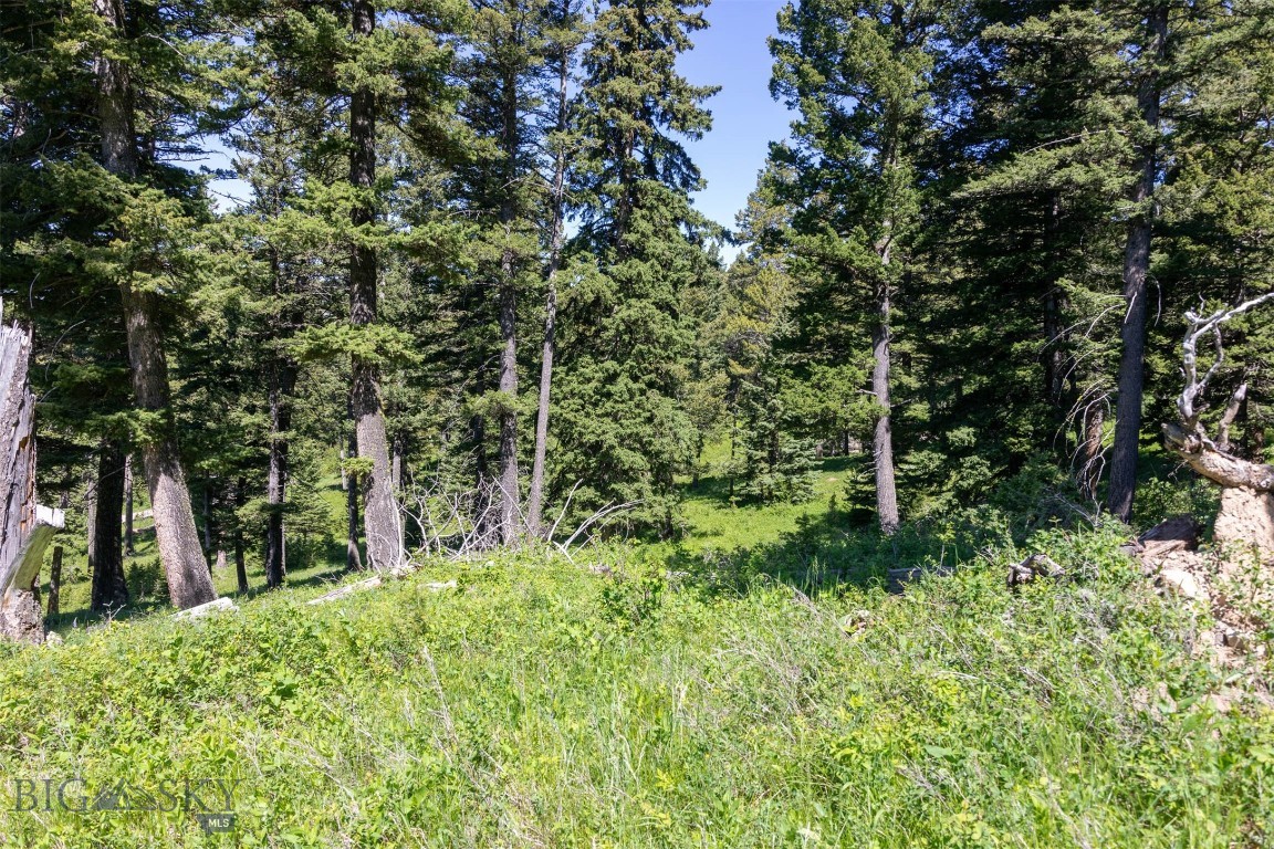 Other - Land