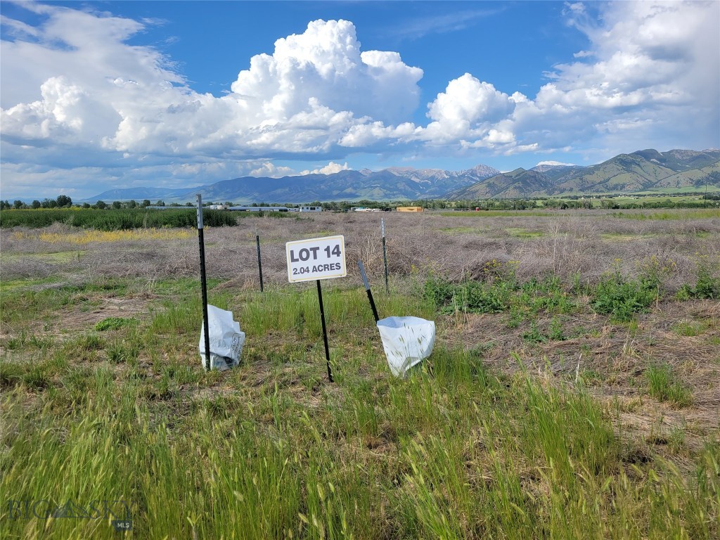 Nelson Meadows - Land
