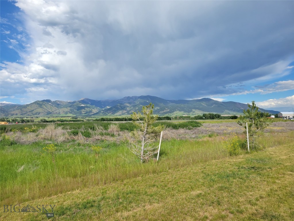 Nelson Meadows - Land