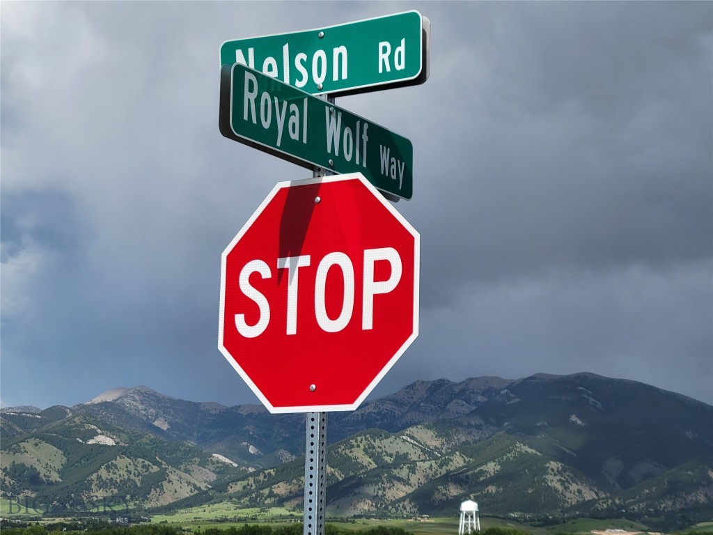 Nelson Meadows - Land