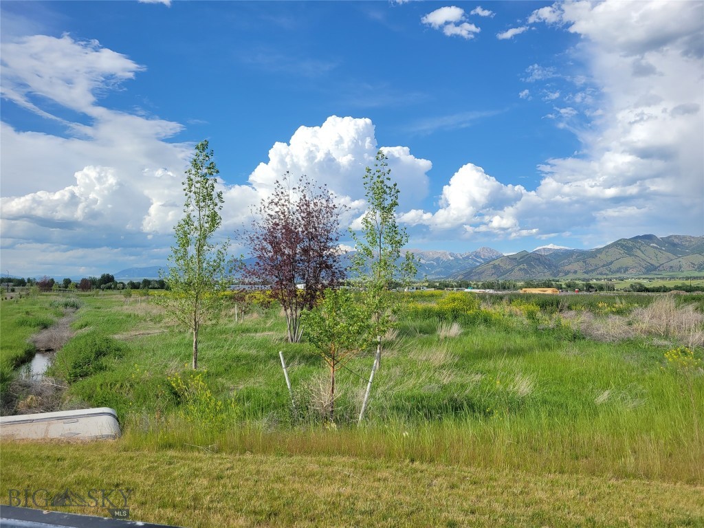 Nelson Meadows - Land