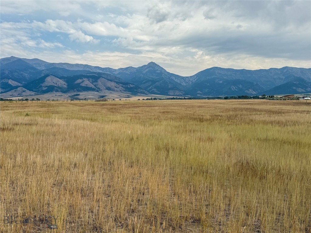 Other - Land