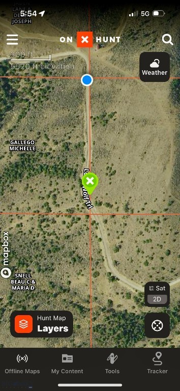 Ponderosa Pines - Land