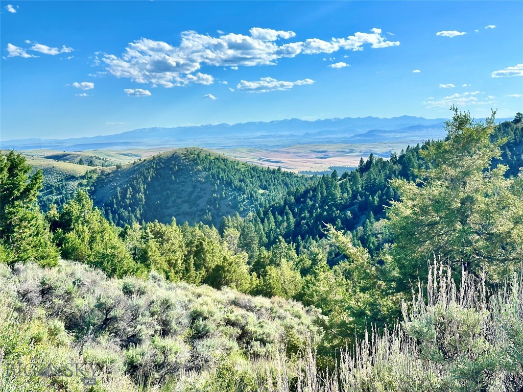 10 acres with big sky views. This lot is idea for an off-grid cabin and has year round access. Lone Wolf Trail borders the east side of the property offering options to put in a drive-way. Expansive views of the Tobacco Root Mountains and valley. The lot has level build sites just off the road. Great spot for a mountain cabin/home. Solar or alternative power will be needed. There are year round residents in the area. Four wheel drive will be needed seasonally. Big game in the area. There is access to the Missouri River at the Fairweather Fishing Access on the west side of Clarkston. Area attractions include the Gallatin, Madison and Missouri Rivers, Headwaters State Park, and Copper City Bike Trails. Clarkston has a volunteer fire department and the County maintains the paved road into the area. Dirt roads are privately maintained. Approximately 45 miles to Bozeman, with the local towns of Three Forks and Manhattan approx. 30 miles. onX coordinates 46.01828, -111.32357