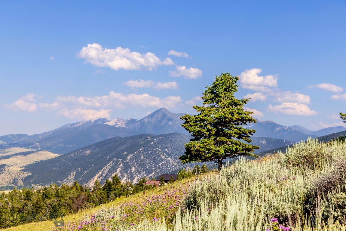 Yellowstone Basin Properties - Land