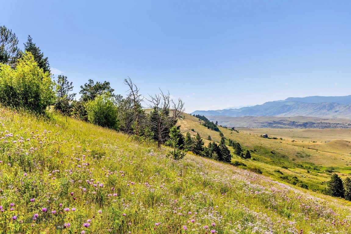 Yellowstone Basin Properties - Land