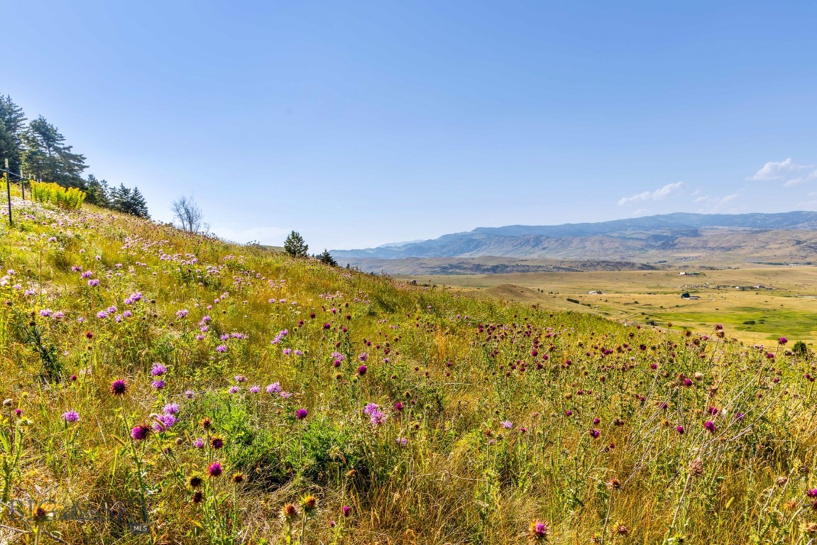 Yellowstone Basin Properties - Land