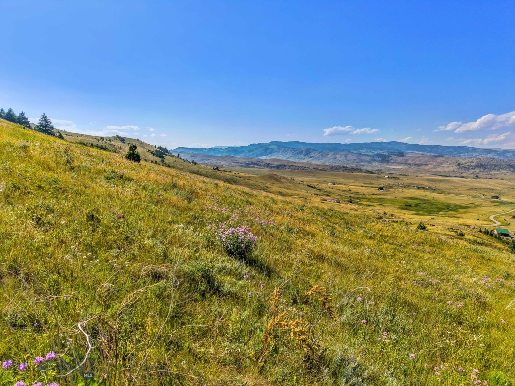 Yellowstone Basin Properties - Land