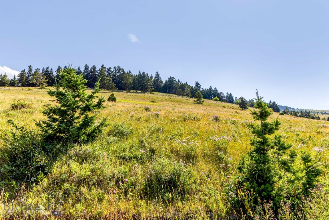 Yellowstone Basin Properties - Land