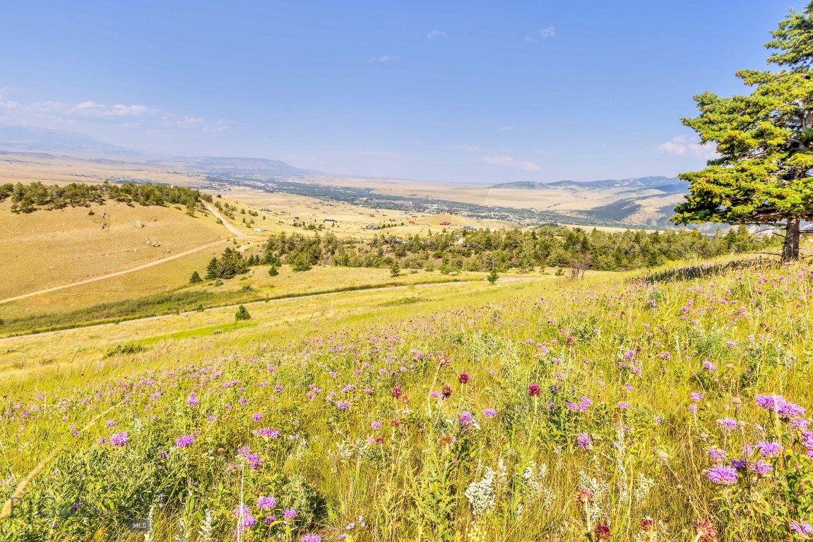Yellowstone Basin Properties - Land