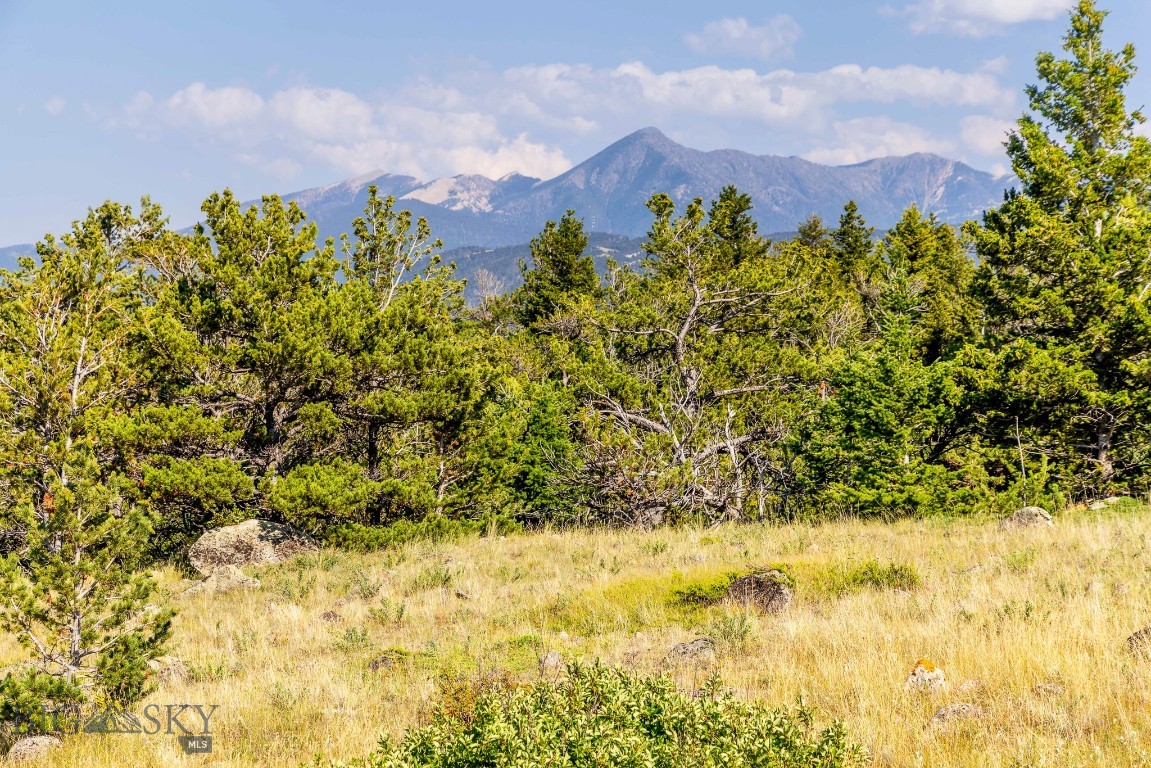 Yellowstone Basin Properties - Land
