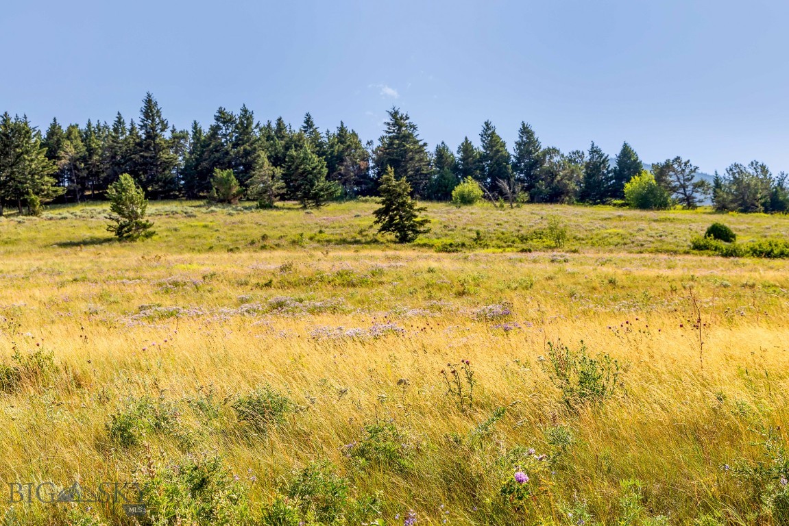 Yellowstone Basin Properties - Land