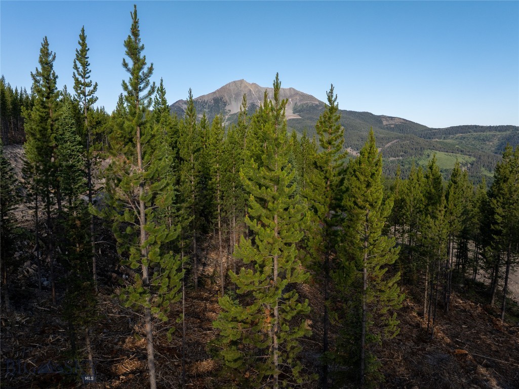 TBD Sawtooth Road Lot 14