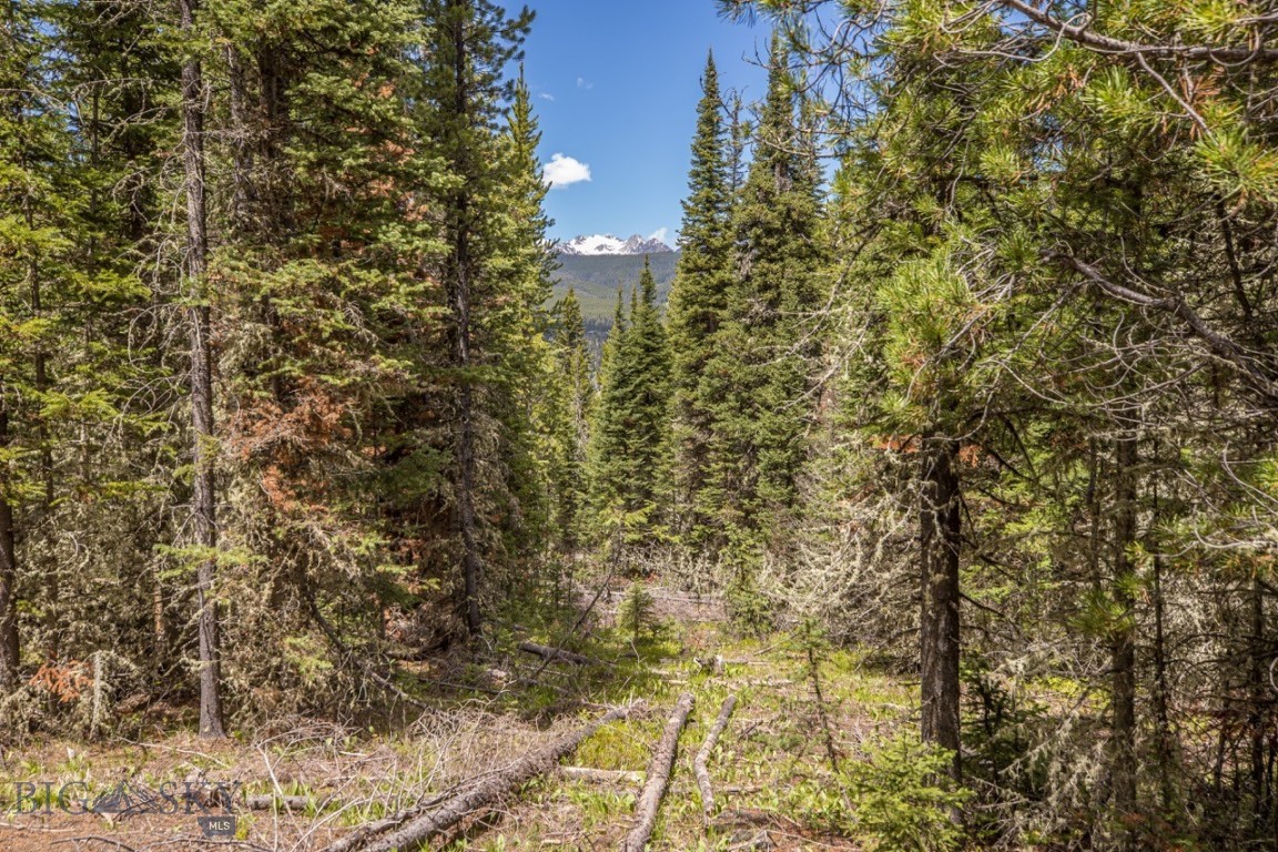Spanish Peaks North - Land