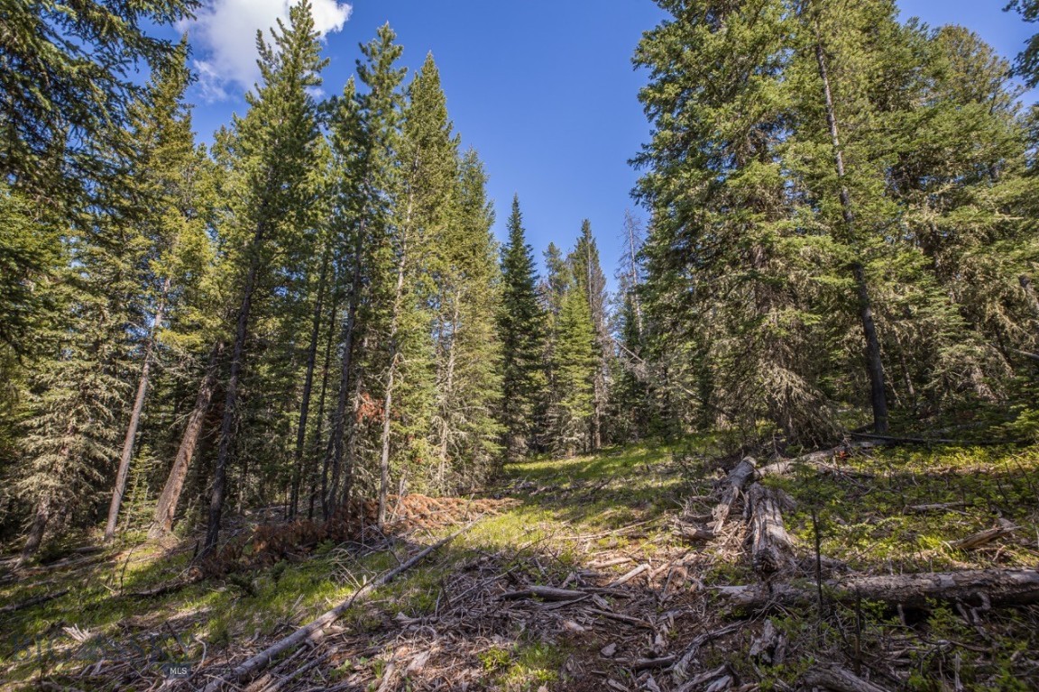 Spanish Peaks North - Land