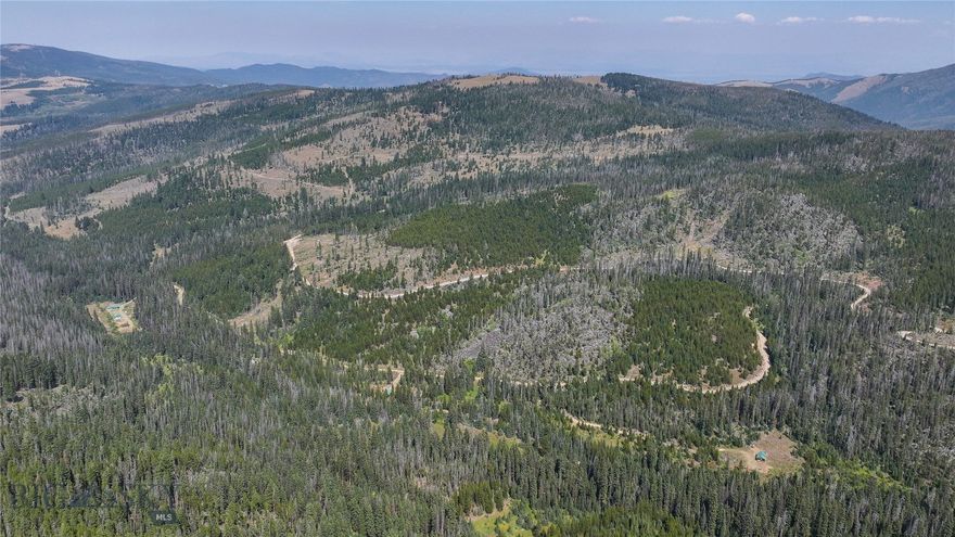 If you’ve been dreaming of your own private slice of Montana, this is it. Tucked away in the heart of the Helena National Forest, just 45 minutes from Helena and minutes outside Elliston, this 30± acre retreat offers the kind of seclusion and adventure that’s hard to find.

Follow a gated Forest Service road to the only private property along the route, where three rustic cabins sit surrounded by endless forest. The main cabin, perched along Hahn Creek, is a cozy one-bedroom, one-bath with a kitchen, wood stove, diesel generator, and rustic running water. Two additional cabins—each warmed by wood stoves and wired for generator use—are perfect for family, friends, or a hunting crew, with outdoor restrooms adding to the backcountry charm.

This is Hunting District 215, where elk and deer are abundant and in-state over-the-counter tags make it easy to step right into the action. Hunt on foot or saddle up and head out by horseback directly from your property. Driving access is limited to your land only, keeping the wilderness untouched and the experience authentic.

Whether you’re chasing trophy elk, gathering with friends around a wood stove, or simply soaking in the sound of Hahn Creek as it runs past your cabin, this property is built for those who crave space, solitude, and adventure. Less than an hour from Helena, yet a world away—this is Montana at its finest.