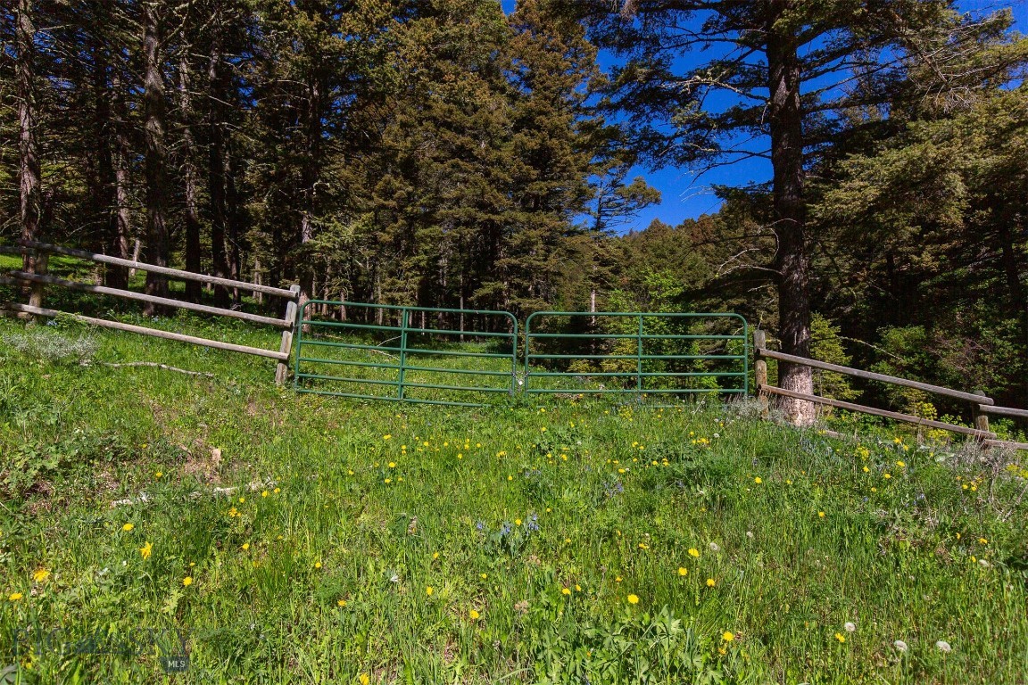 169 Grassy Mountain Road