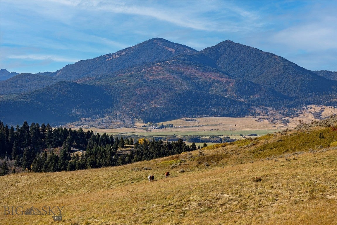 NHN Kelly Canyon Road