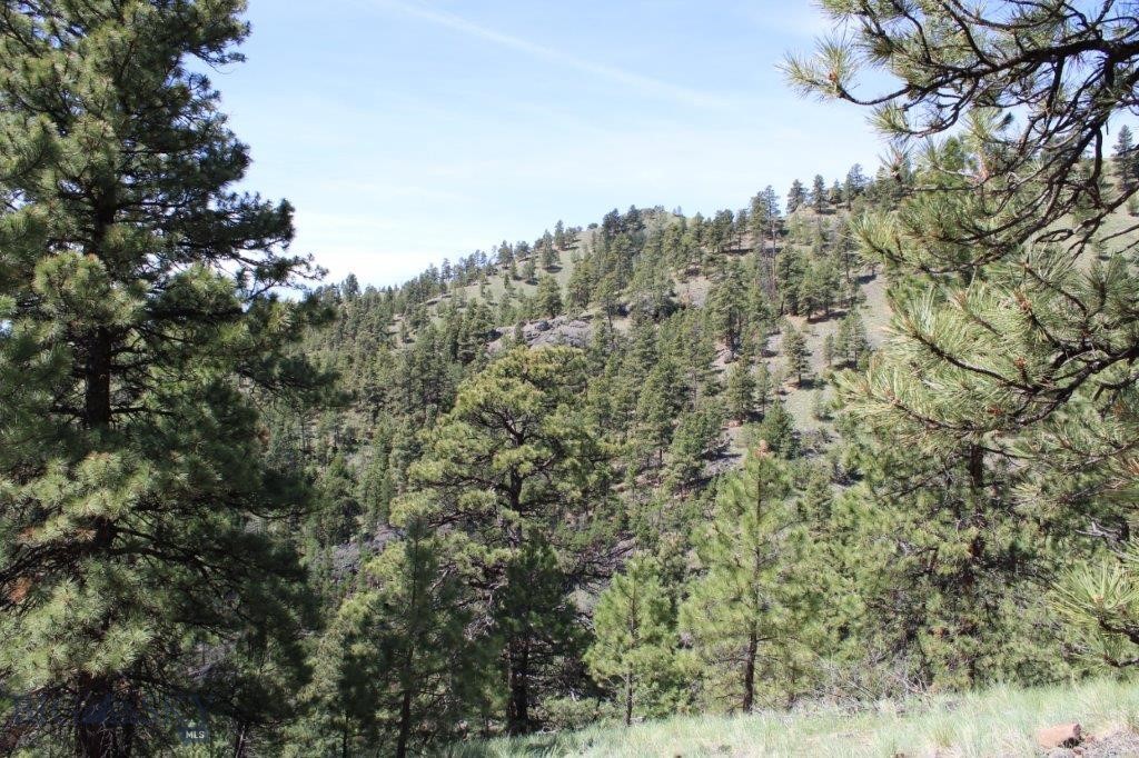 6 Pine Coulee
