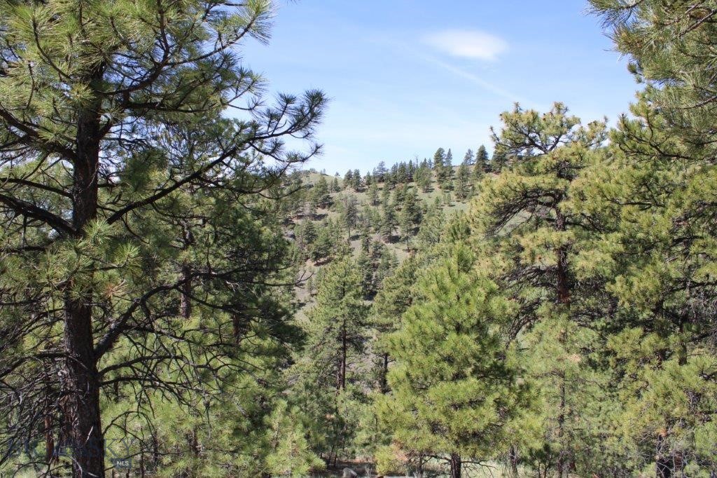 6 Pine Coulee