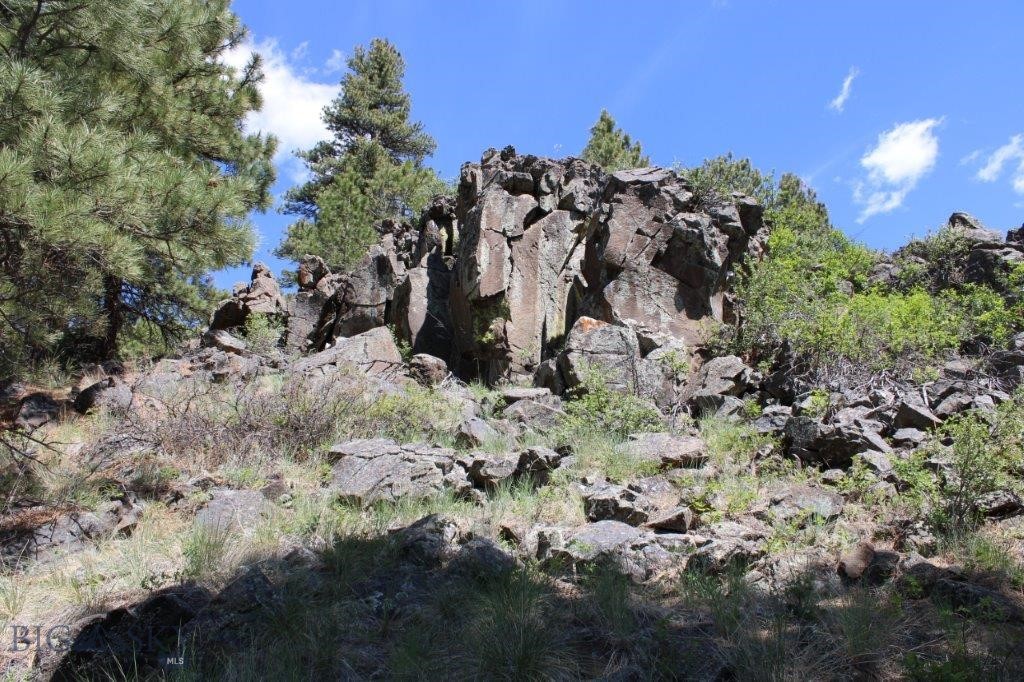 6 Pine Coulee