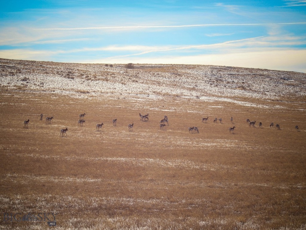 Gallatin River Ranch - Land