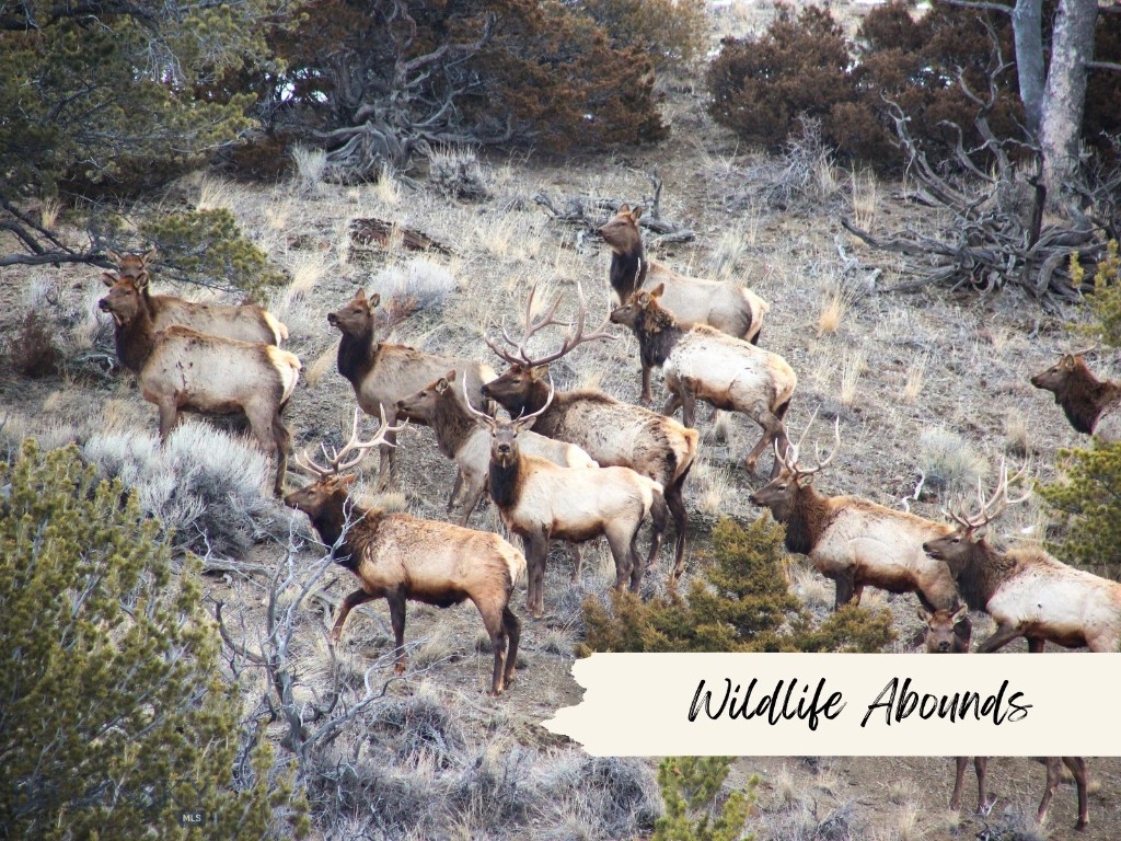 Gallatin River Ranch - Land