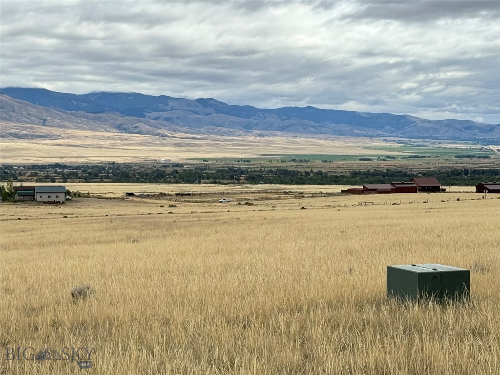 Twin Bridges, Montana 59754, United States, ,Land,Contingent,42596