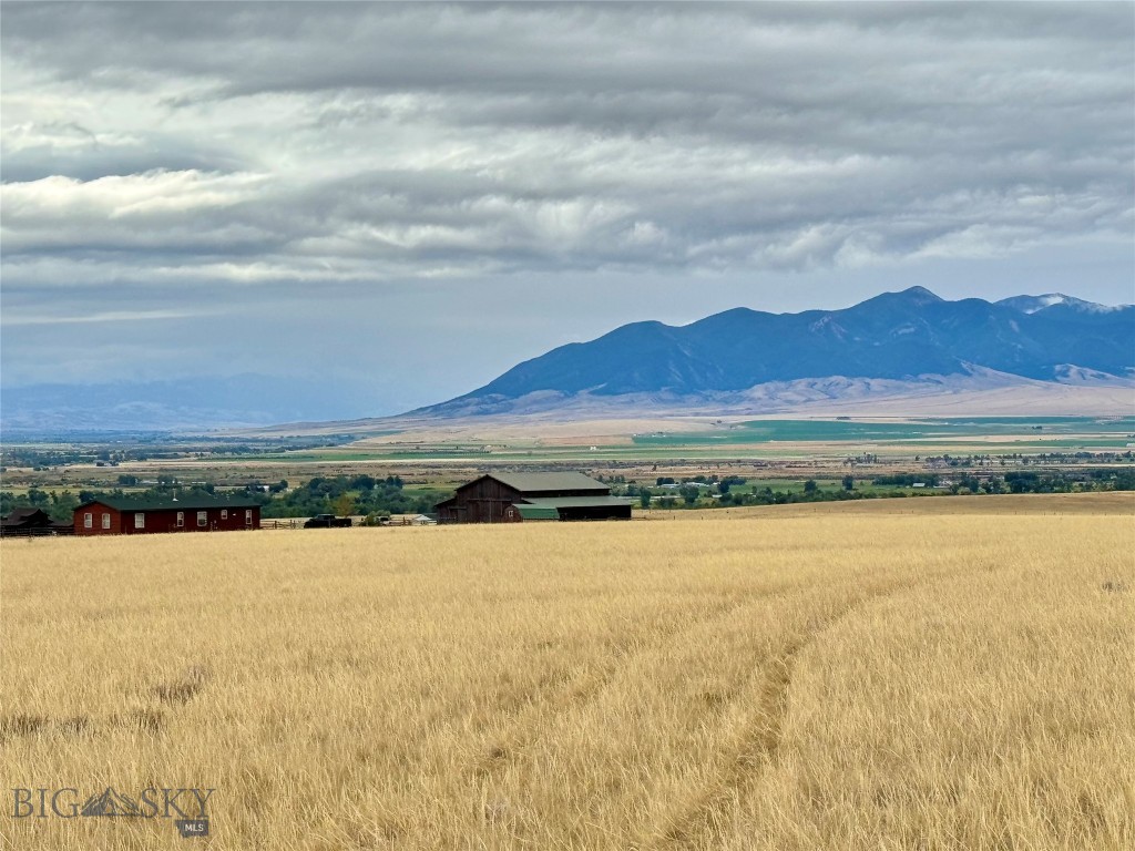 Twin Bridges, Montana 59754, United States, ,Land,Contingent,42596