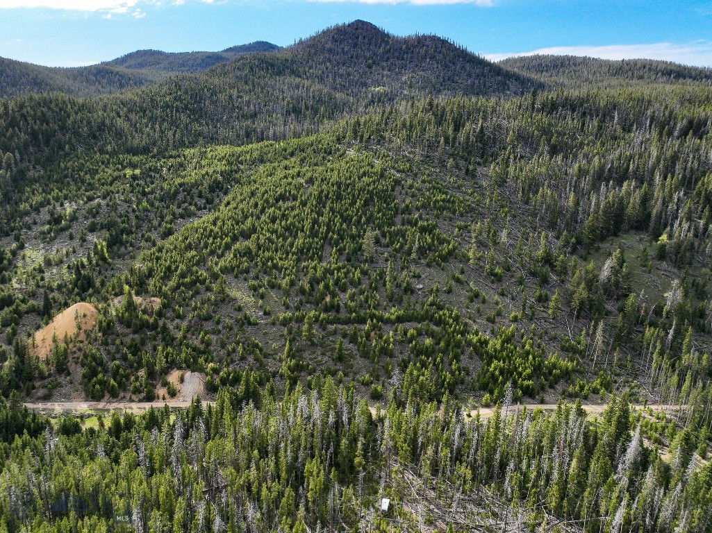 NHN (Clipper Lode) Cataract Creek Road