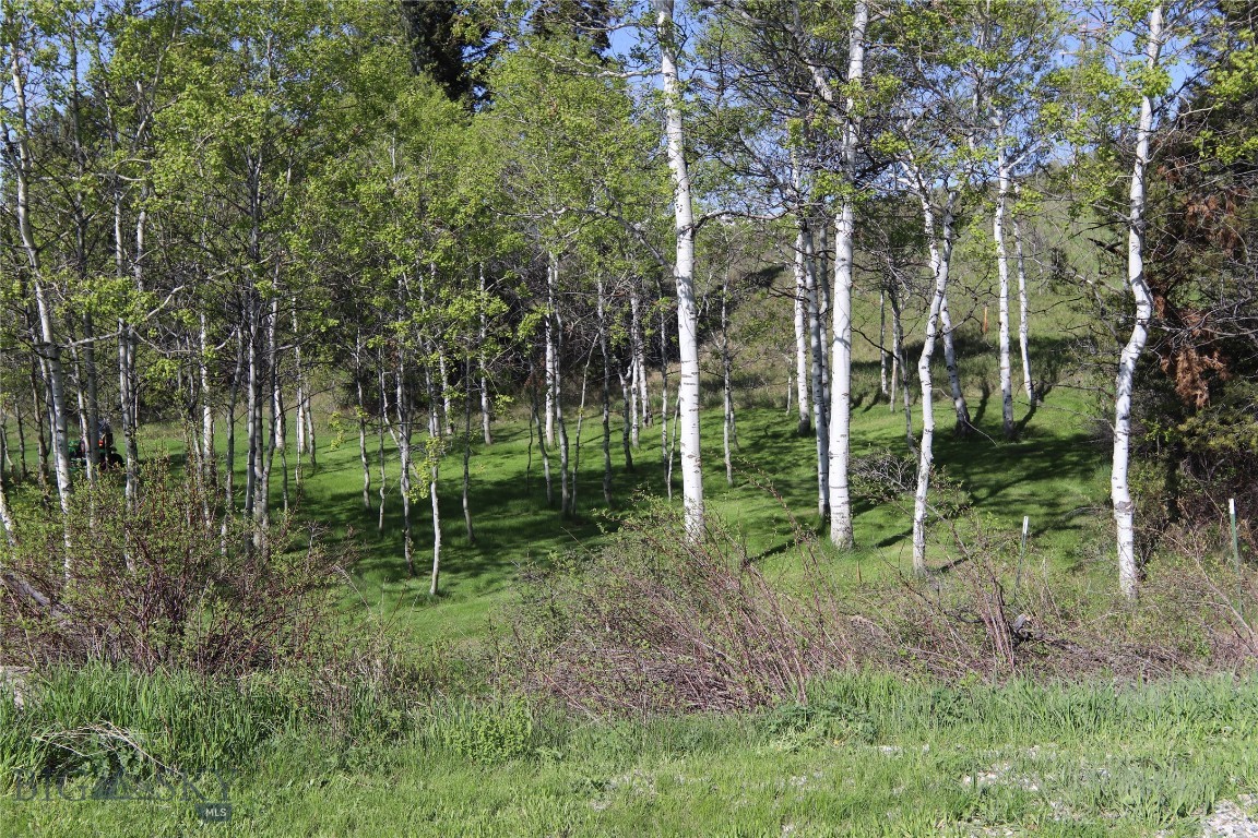 Yellowstone Holiday - Residential