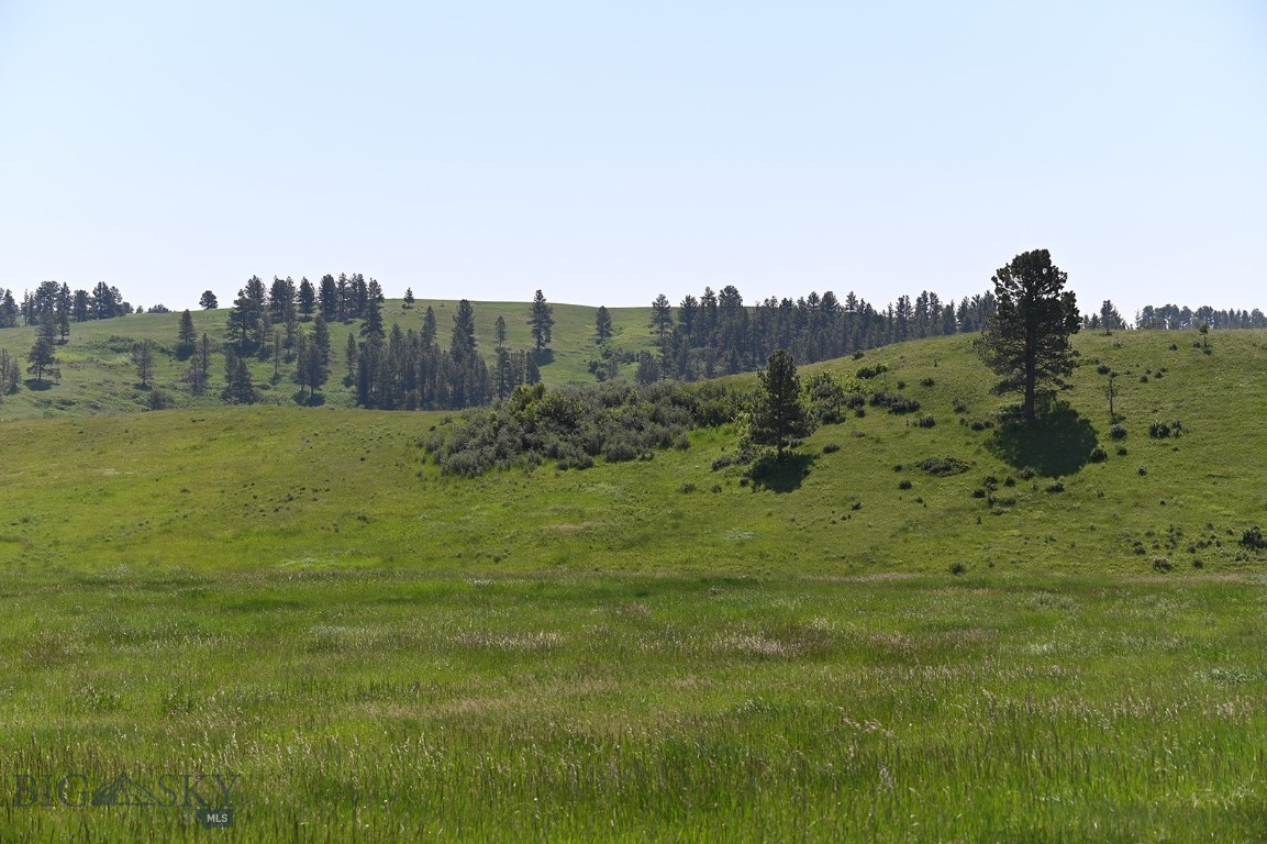 Other - Land