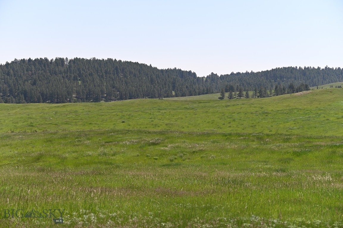 Other - Land