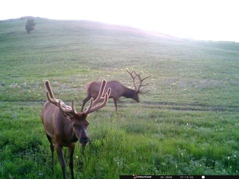 Photo of TBD Indian Creek Road, Townsend, MT 59604 (MLS # 406164)
